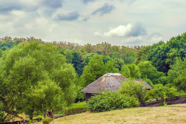 Ukrayna thatch kulübe ormanın kenarında — Stok fotoğraf