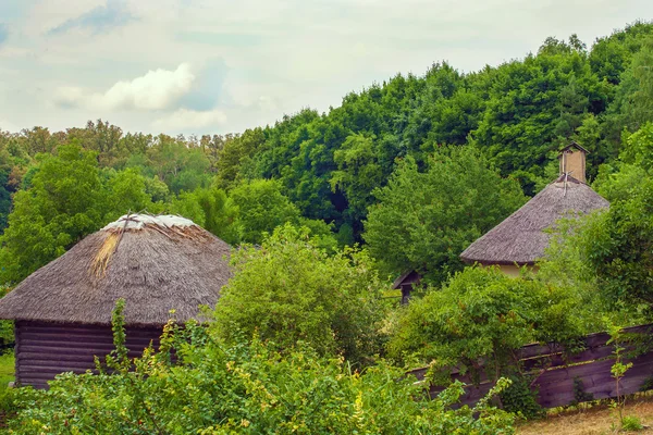 Thatch Ουκρανικά καλύβα στην άκρη του δάσους — Φωτογραφία Αρχείου