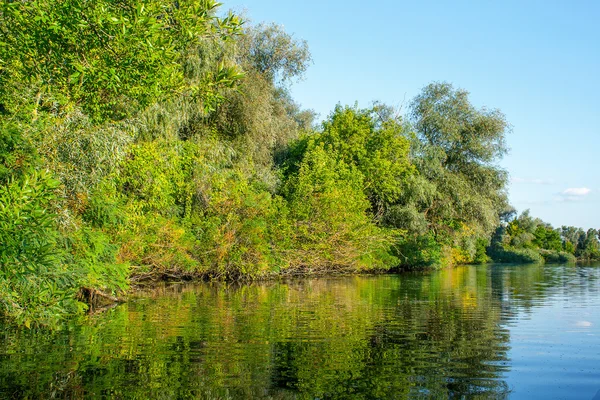 Obraz krajiny velké řeky pobřeží vegetace — Stock fotografie