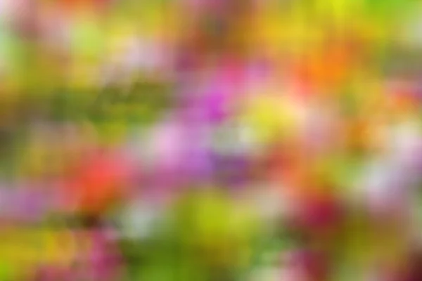 Fond de couleurs vives floues colorées — Photo