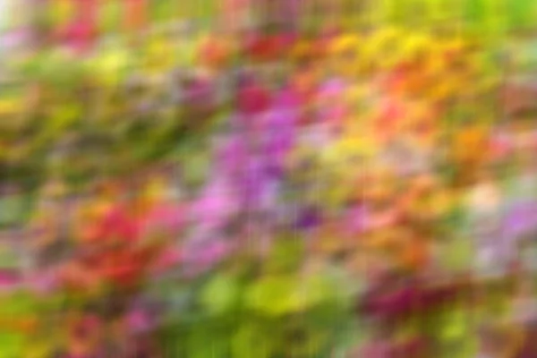 Background of colorful blurred bright colors — Stock Photo, Image