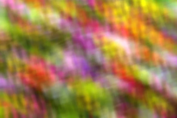 Background of colorful blurred bright colors — Stock Photo, Image