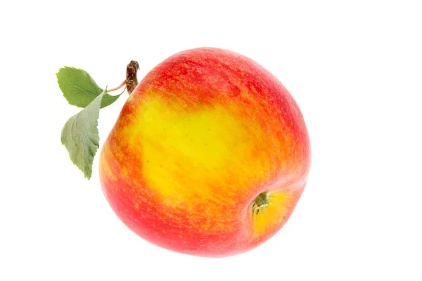 Una manzana con una hoja sobre un fondo blanco —  Fotos de Stock