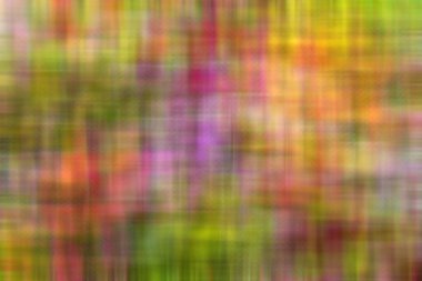 parlak renkler renkli arka plan bulanık