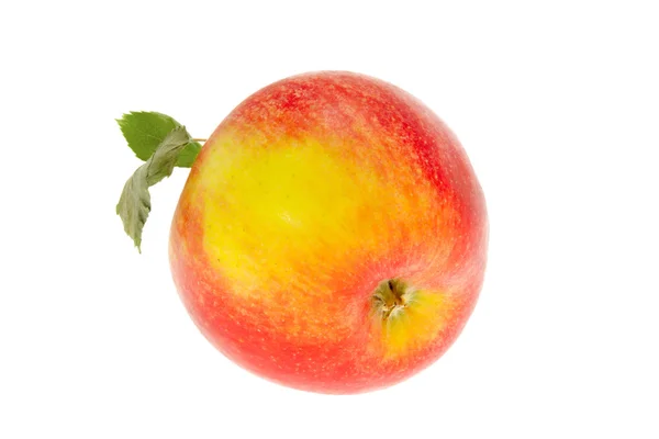 Одно яблоко с листом на белом фоне — стоковое фото