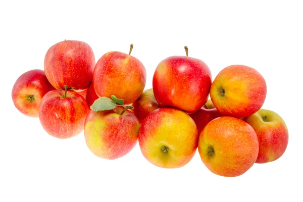 Ripe red apples on a white background — Stock Photo, Image