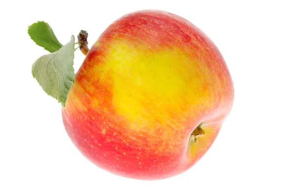Ett äpple med ett blad på vit bakgrund — Stockfoto