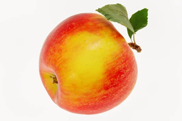 Kép egy alma, egy levél egy fehér háttér — Stock Fotó