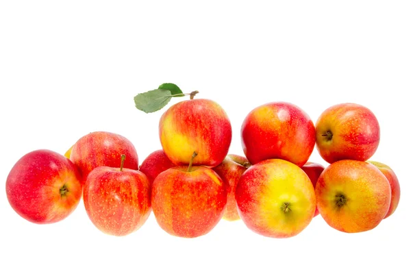 Ripe red apples on a white background — Stock Photo, Image