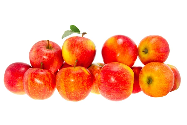 Ripe red apples on a white background — Stock Photo, Image