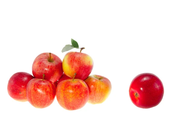 Ripe red apples on a white background — Stock Photo, Image