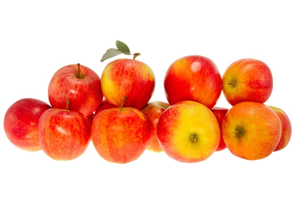 Mogna röda äpplen på en vit bakgrund — Stockfoto