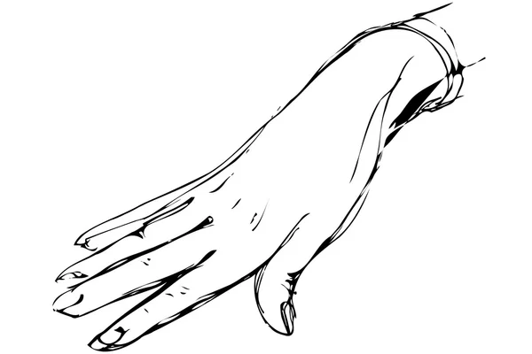 여자의 오른손의 스케치 — 스톡 벡터