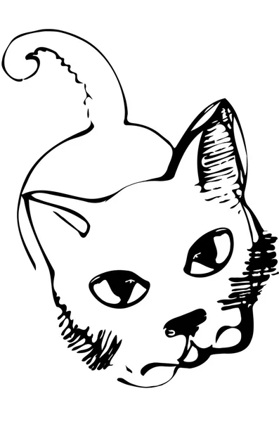 Dibujo vectorial de un gato mirando a los ojos — Archivo Imágenes Vectoriales