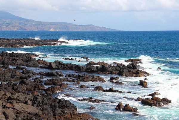 Costa atlántica en las islas Azores —  Fotos de Stock