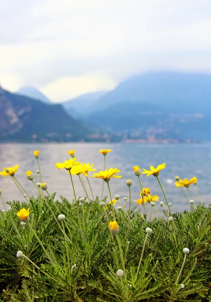 Jezero Como, Itálie — Stock fotografie