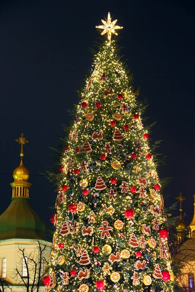 Árbol de Año Nuevo — Foto de Stock