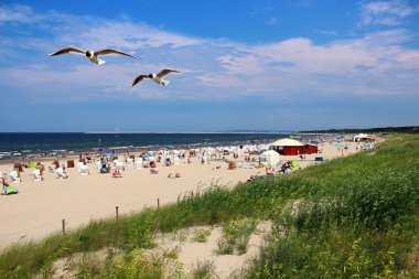 Baltic sea beach in Swinoujscie, Poland clipart