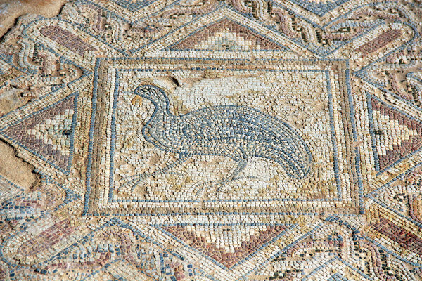 Ancient mosaic in Kourion, Cyprus