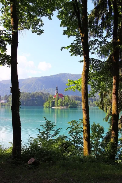 Ausgebluteter See, Slowenien — Stockfoto