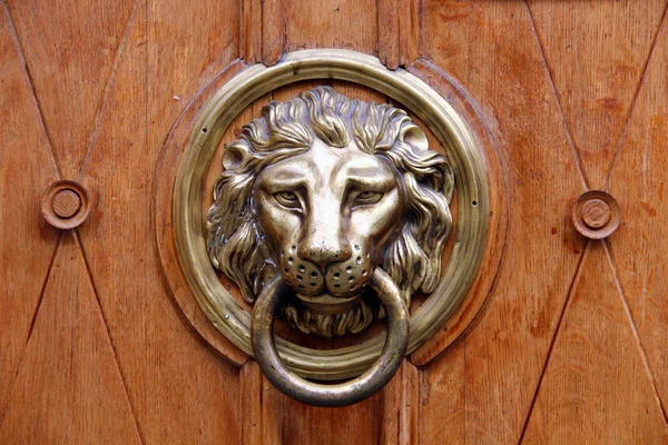 Vecchio knocher testa di leone sulla porta di legno — Foto Stock