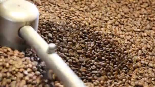 Grains de café dans un torréfacteur — Video