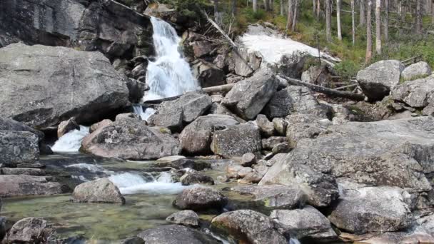 Cascades en Hautes Tatras montagnes, Slovaquie — Video