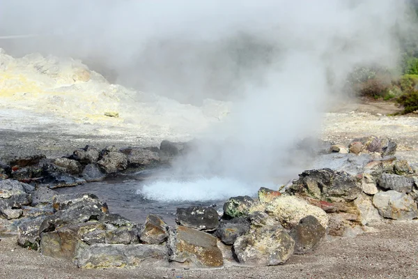 Álcoois em Furnas, Ilha de São Miguel, Açores, Portugal — Fotografia de Stock