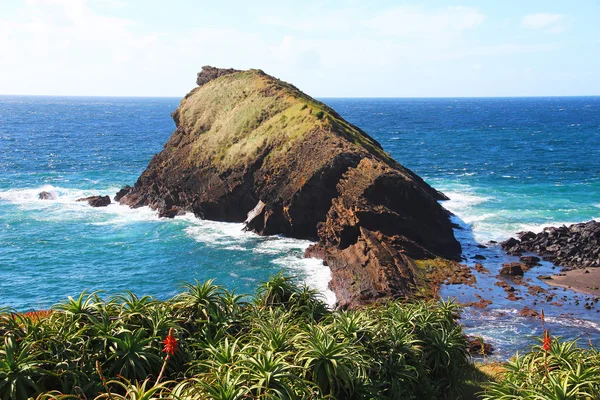 Atlantikküste auf Azoren-Inseln — Stockfoto