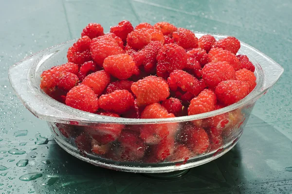 Raspberry garden on a plate — Stock Photo, Image