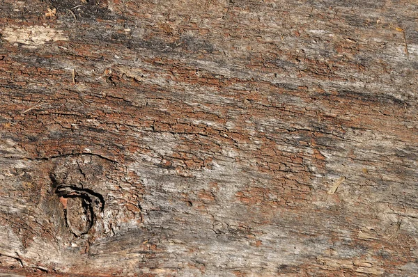 Madera pintada obsoleta — Foto de Stock