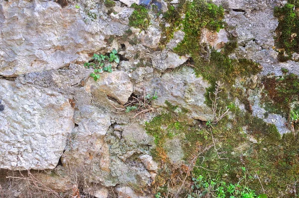 Fondo de pared de piedra —  Fotos de Stock