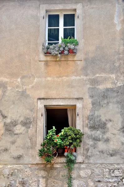 Windows z kwiatem — Zdjęcie stockowe