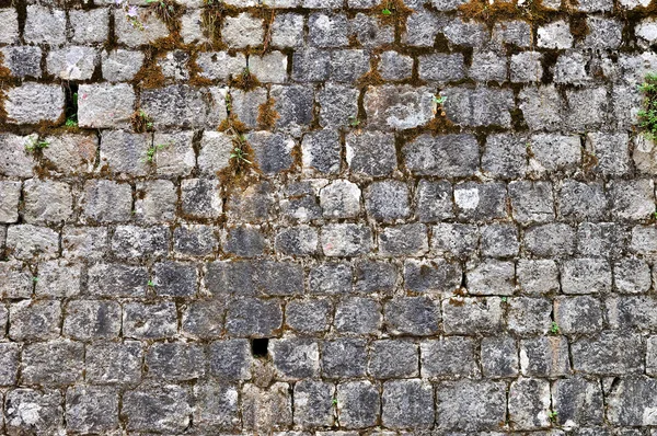 Parede de pedra fundo — Fotografia de Stock