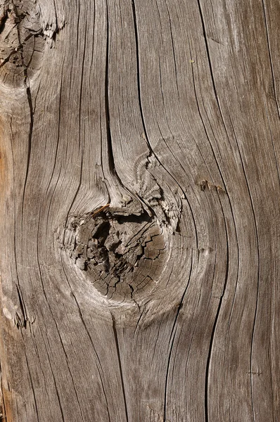 Wooden texture background — Stock Photo, Image