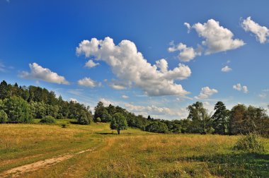 Kırsal yol arka plan