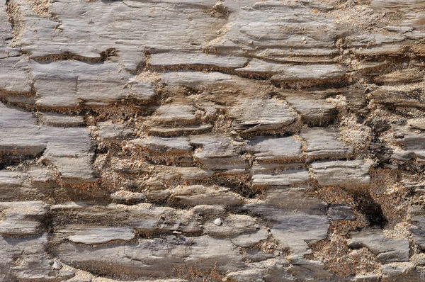 Textura de madera fondo — Foto de Stock