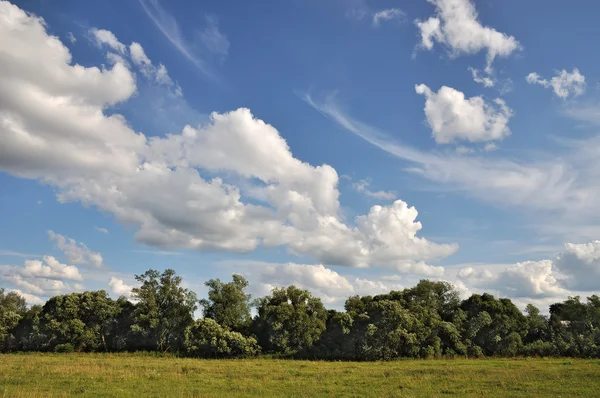 Summer landscape background Royalty Free Stock Images