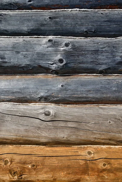 Troncos Madera Erosionados Con Fondo Grunge Patrón Natural — Foto de Stock