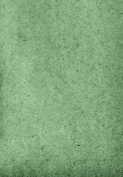 Papel Retro Reciclado Verde Texturizado Grunge Con Partes Fibra Natural Imagen de stock