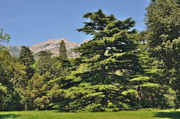 Bahar Parkı