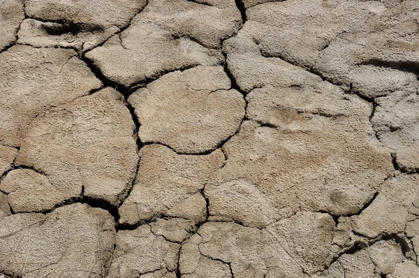 Dry ground — Stock Photo, Image