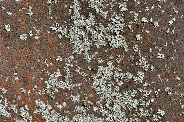 Rust metal — Stock Photo, Image