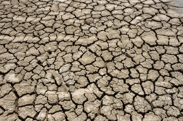 Dry ground — Stock Photo, Image