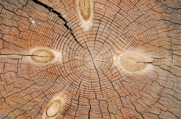 Holzschnitt — Stockfoto