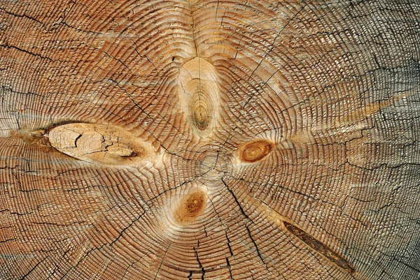 Verwitterter Holzschnitt — Stockfoto