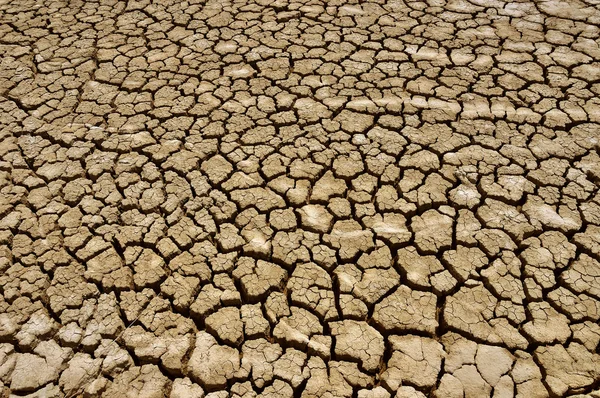 Dry ground — Stock Photo, Image