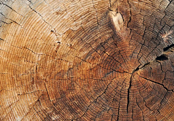 Taglio di legno — Foto Stock