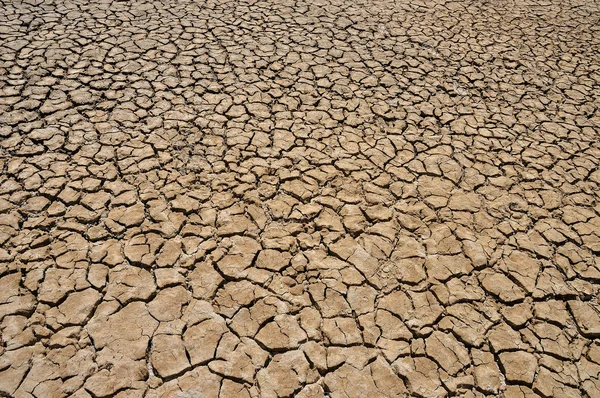 Dry ground — Stock Photo, Image