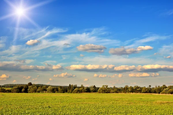 Zomer landschap — Stockfoto